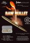 Preview: fisher SPACE PEN®: Bullet Space Pen, antimikrobielles unbehandeltes Messing