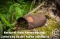 Preview: Helikon-Tex®: Bushcraft Dump Pouch, Schwarz
