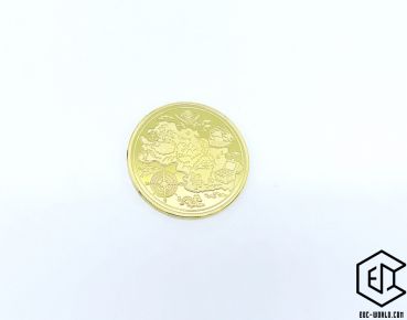Gold-Piraten-Münze